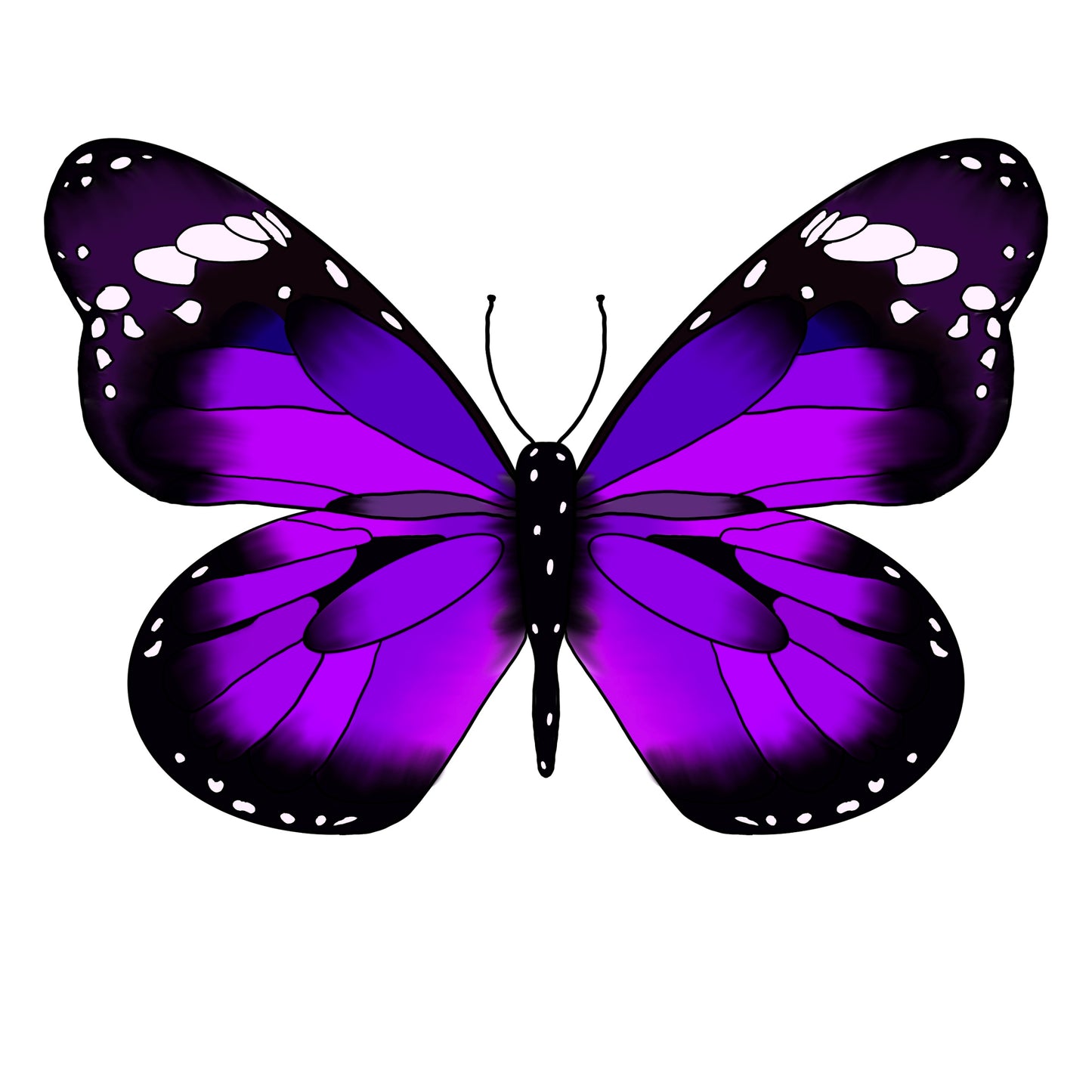 Purple Butterfly