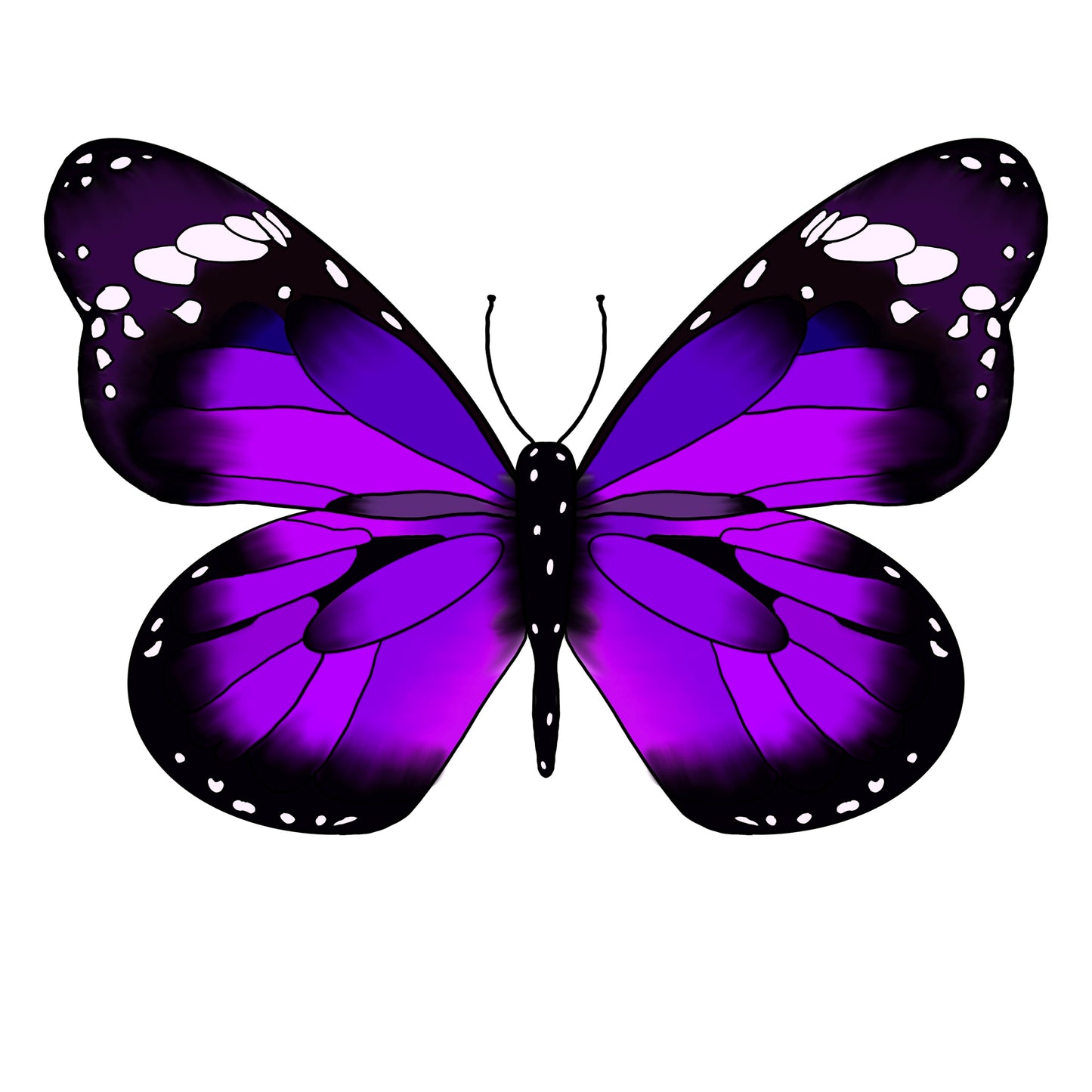 Purple Butterfly